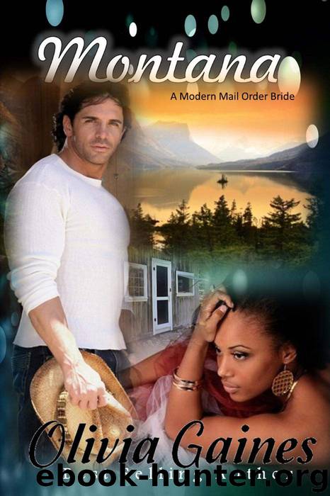 the vampire's mail order bride: nocturne falls book 1 kristen painter